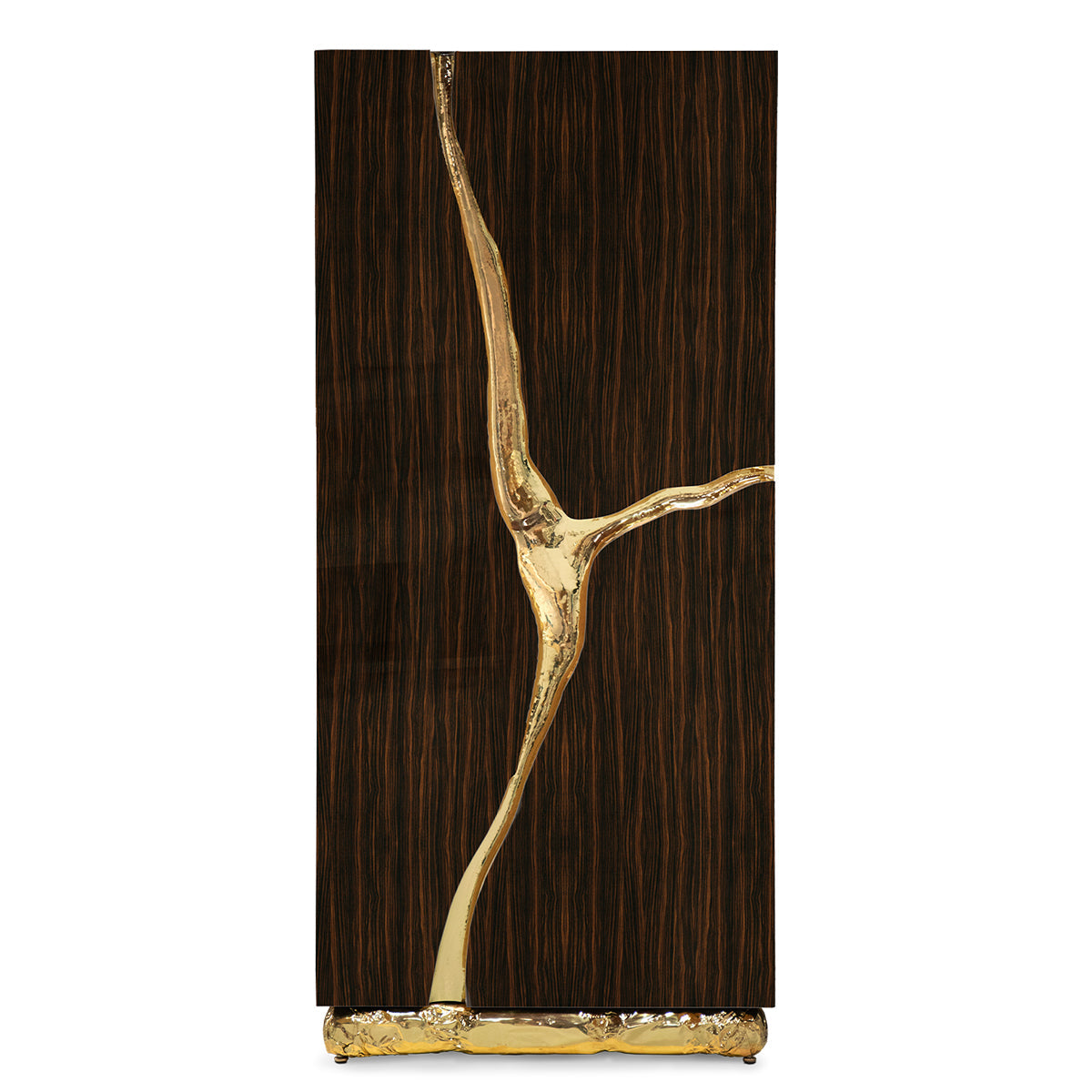 Walnut Brass Hidden Storage Display Cabinet Brass Accents