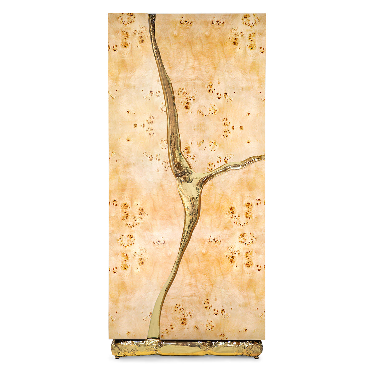 Walnut Brass Hidden Storage Display Cabinet Brass Accents