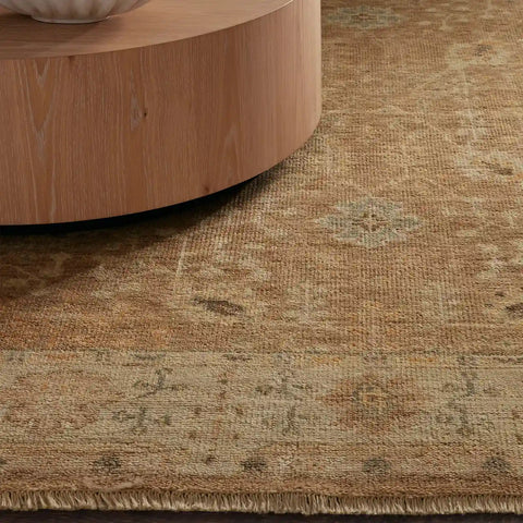 Asphyn Hand-Knotted Wool Area Rug