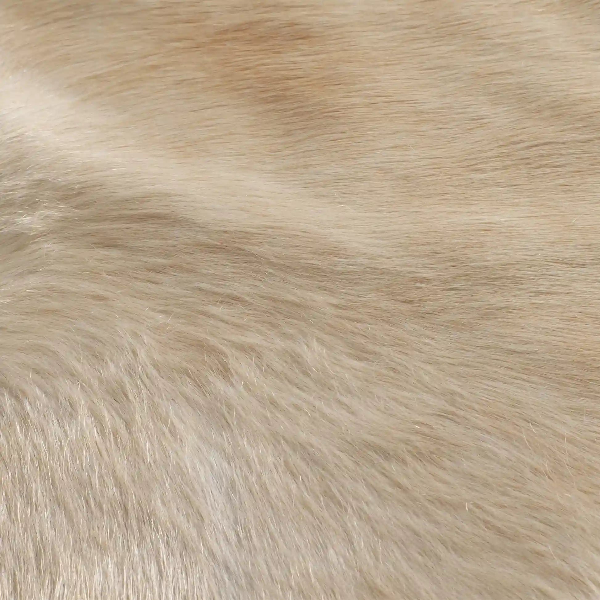 Caravelle Creme Caramel Hair on Hide Rug