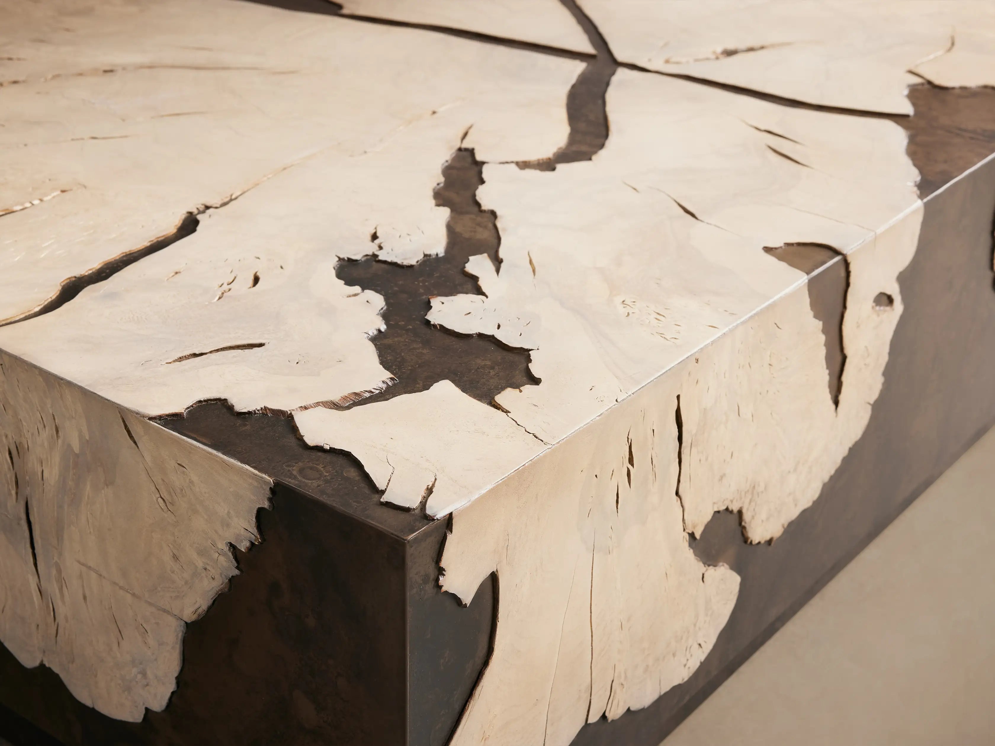 Obra Milpa Burl Wood Coffee Table