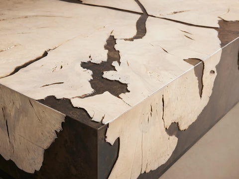 Obra Milpa Burl Wood Coffee Table