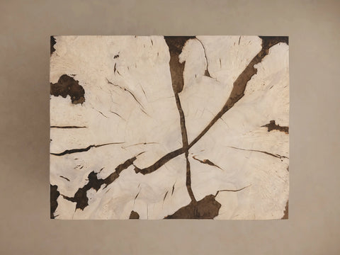 Obra Milpa Burl Wood Coffee Table