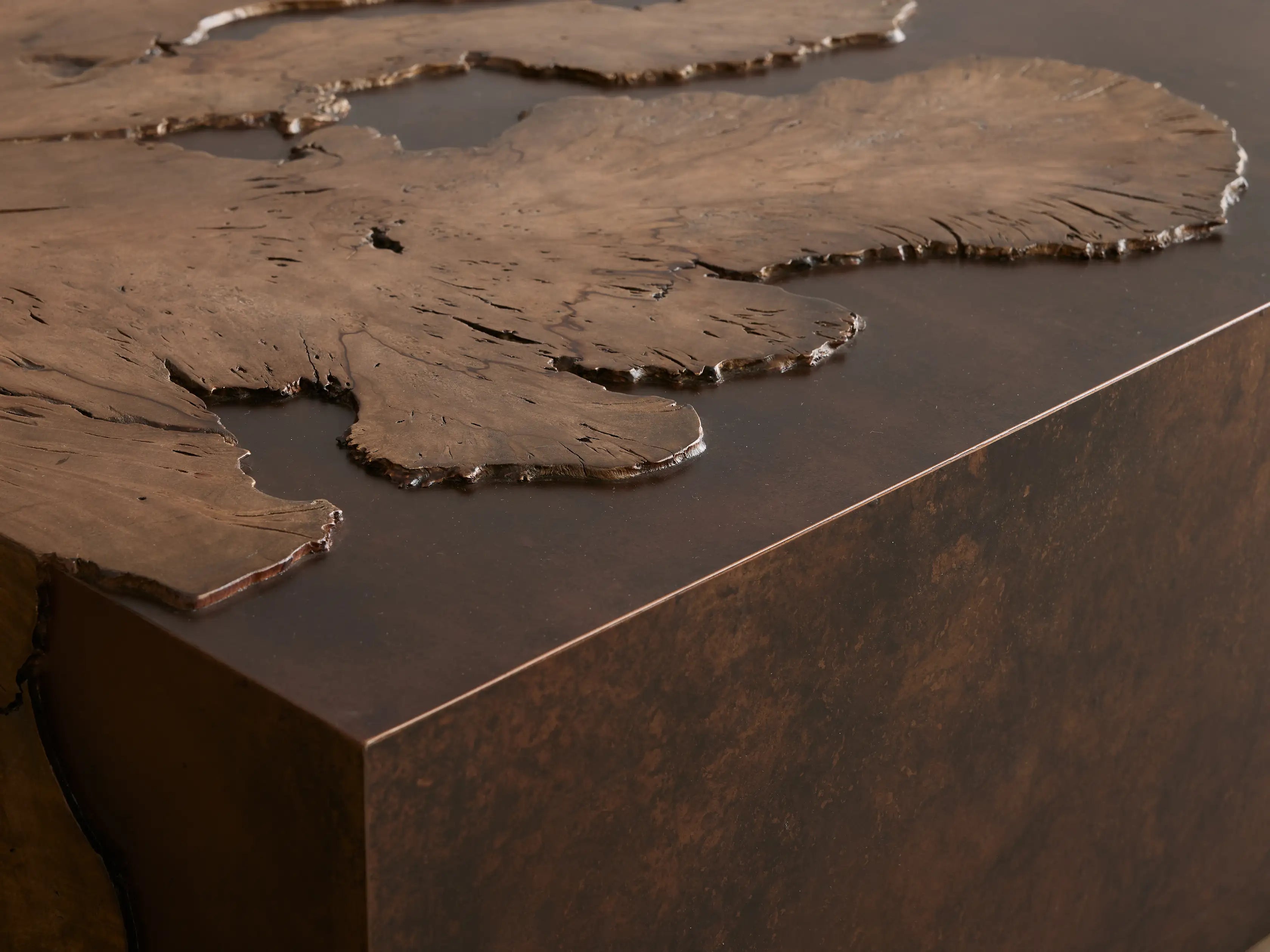 Obra Milpa Burl Wood Coffee Table