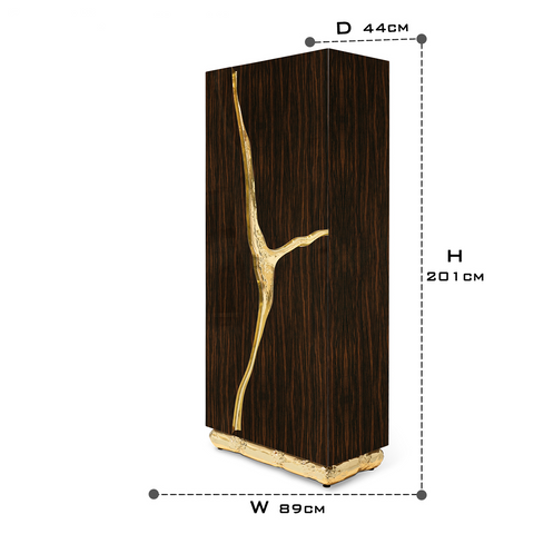 Walnut Brass Hidden Storage Display Cabinet Brass Accents