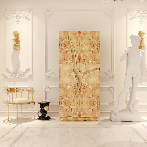 Walnut Brass Hidden Storage Display Cabinet Brass Accents
