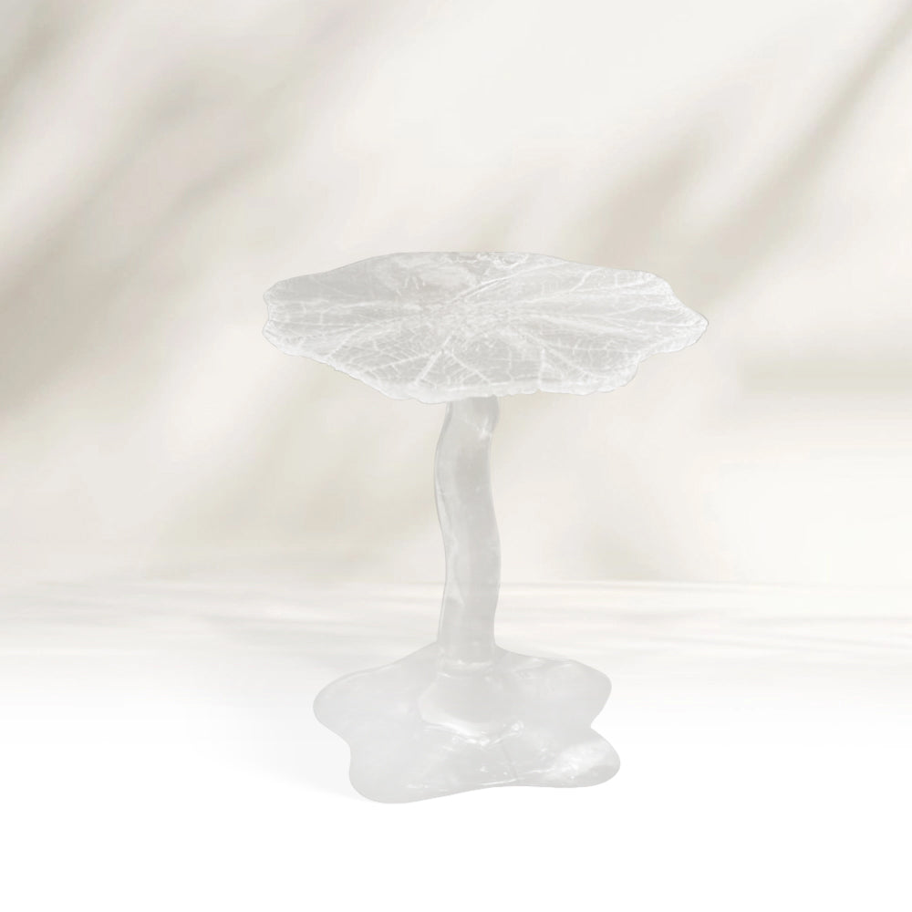 Lotus Acrylic Side Table