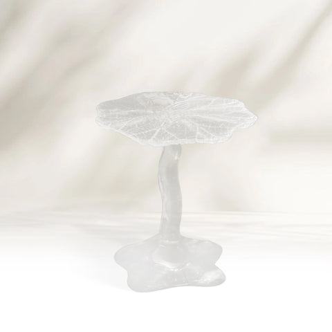 Lotus Acrylic Side Table