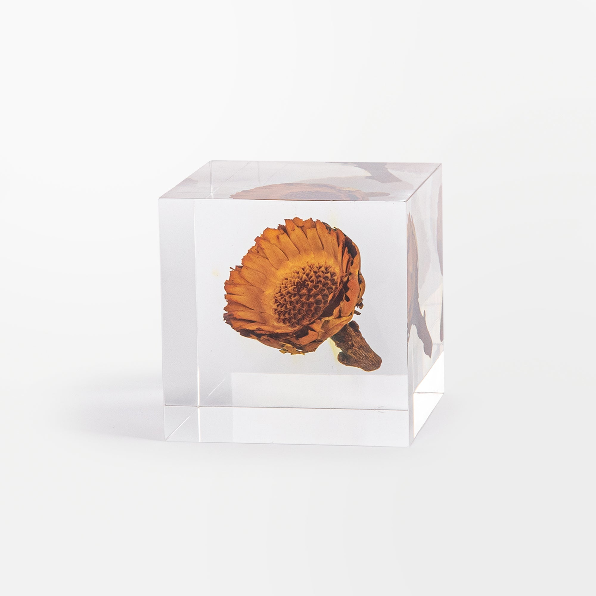 Eternal Series Artistic Decorative Acrylic Cubes