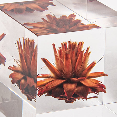 Eternal Series Artistic Decorative Acrylic Cubes