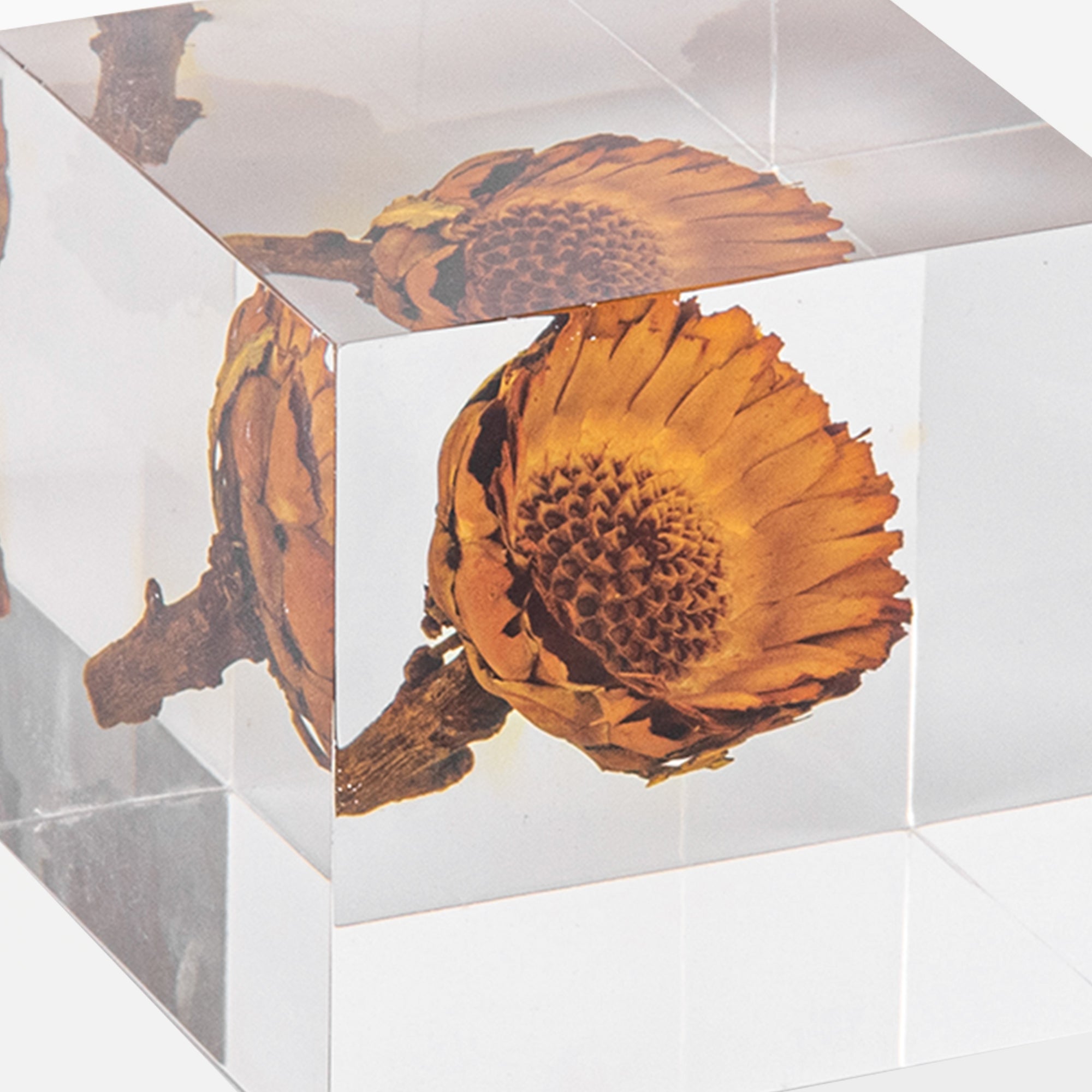 Eternal Series Artistic Decorative Acrylic Cubes