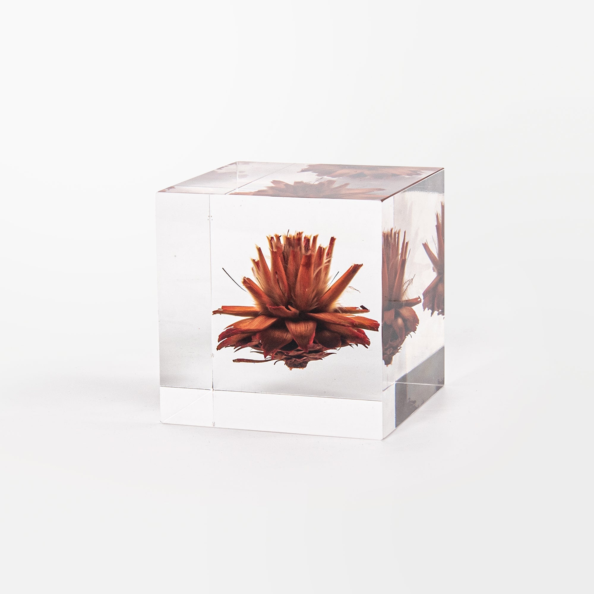 Eternal Series Artistic Decorative Acrylic Cubes