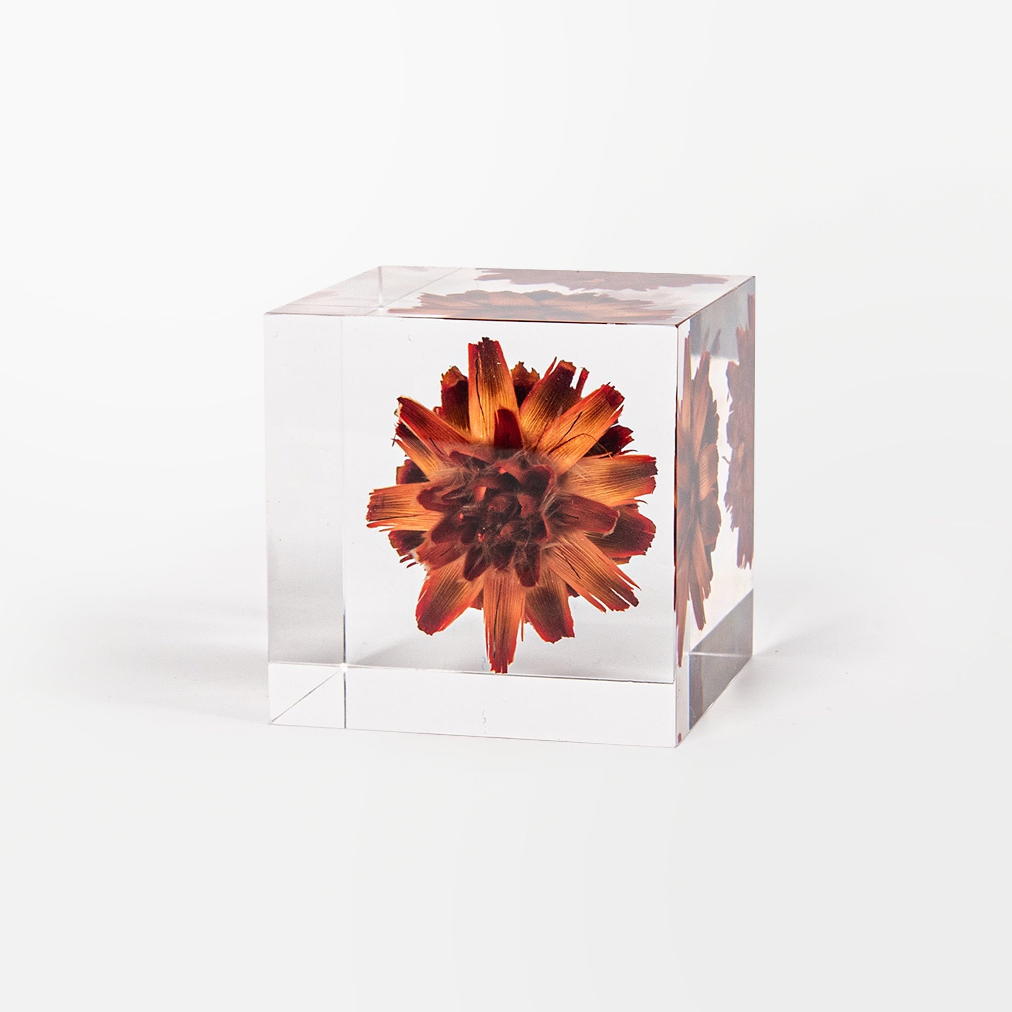 Eternal Series Artistic Decorative Acrylic Cubes