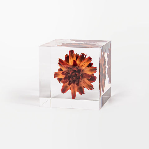 Eternal Series Artistic Decorative Acrylic Cubes