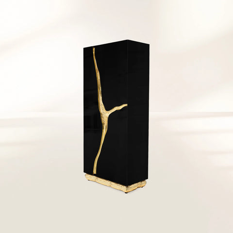 Walnut Brass Hidden Storage Display Cabinet Brass Accents