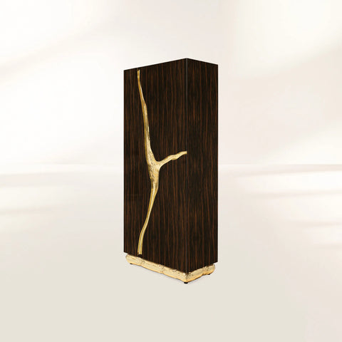 Walnut Brass Hidden Storage Display Cabinet Brass Accents