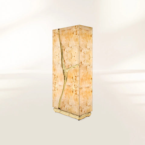 Walnut Brass Hidden Storage Display Cabinet Brass Accents