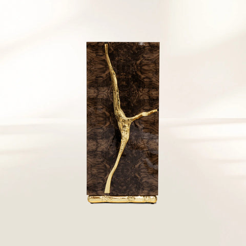 Walnut Brass Hidden Storage Display Cabinet Brass Accents