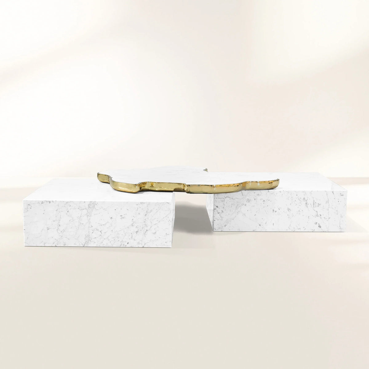Black Sculptural Form Coffee Table