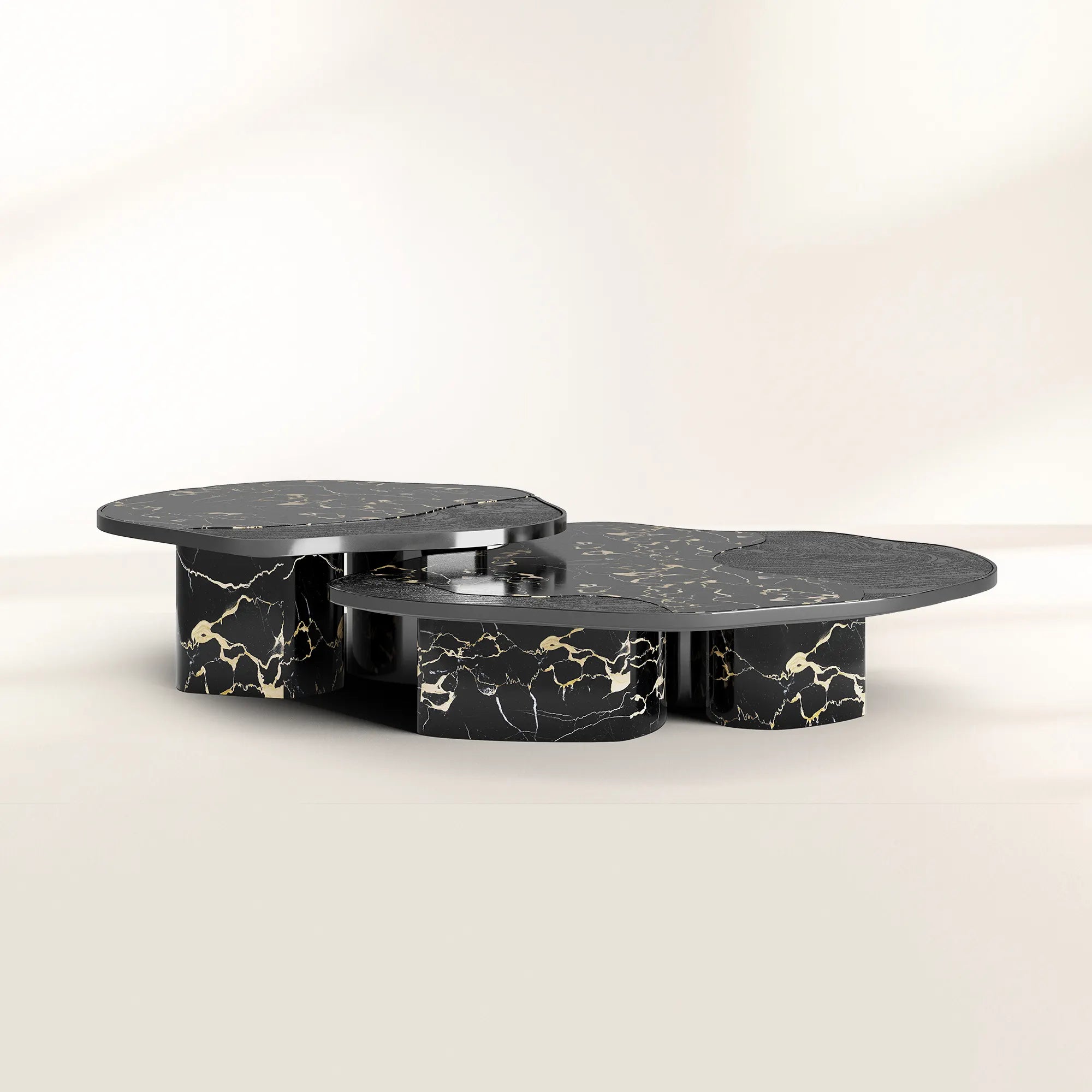 Stone Marble Black Sculptural Form Coffee Table