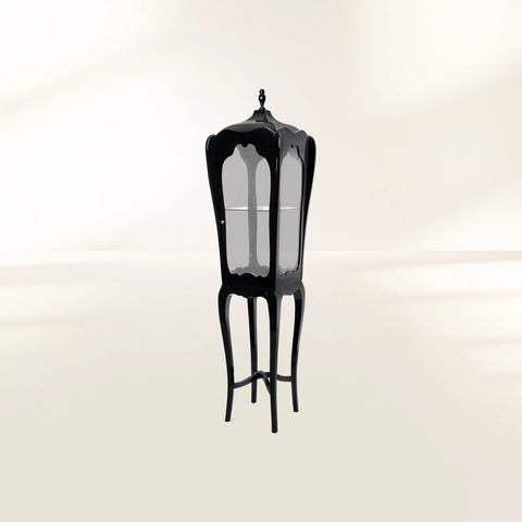 Mahogany Glass Black Slim Frame Display Cabinet