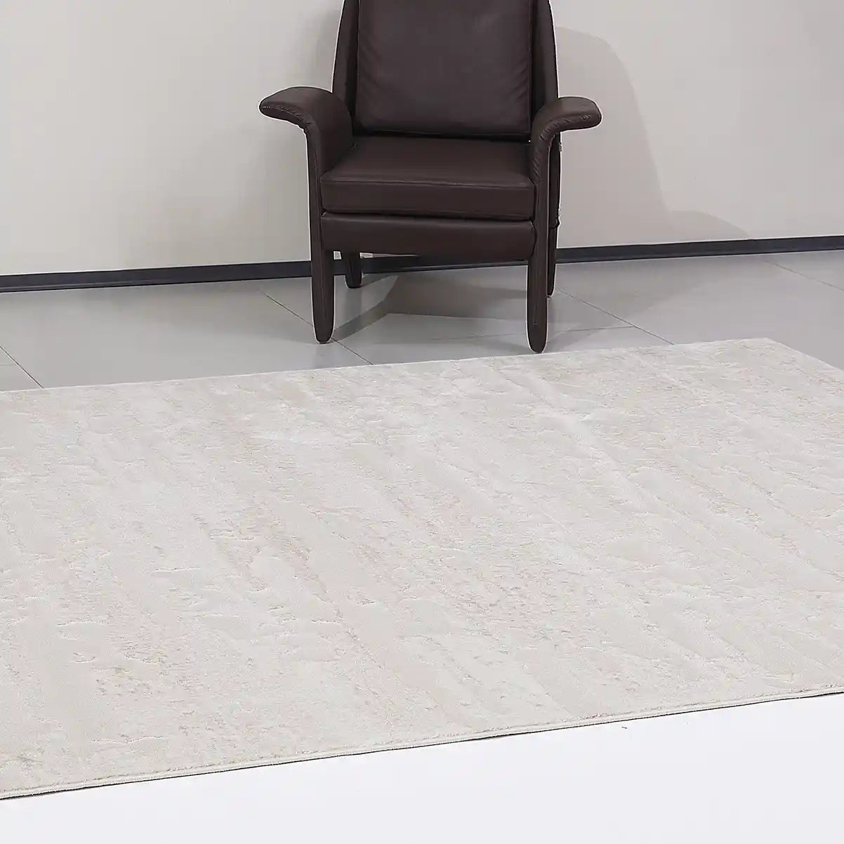 Shanluan Soft Veiled Texture Neutral Area Rug
