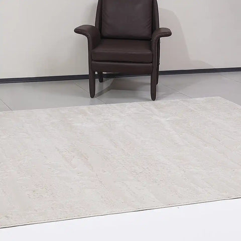 Shanluan Soft Veiled Texture Neutral Area Rug