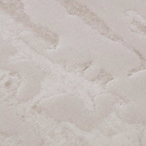 Shanluan Soft Veiled Texture Neutral Area Rug