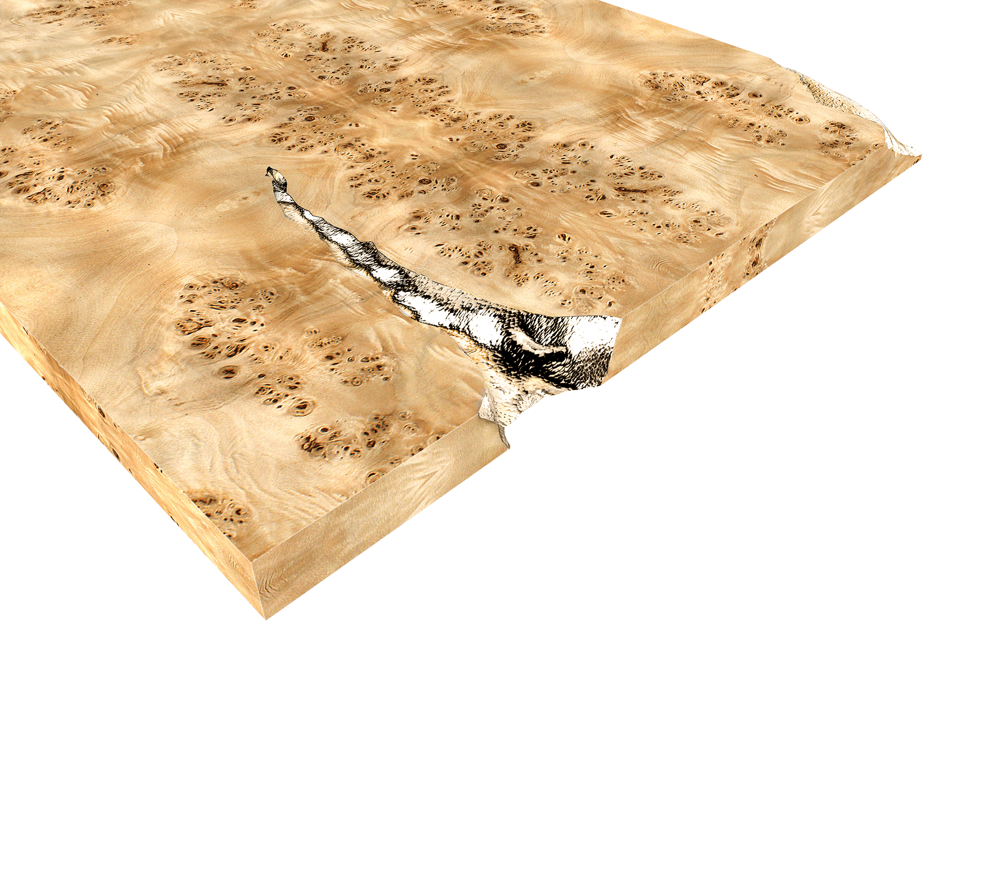 Empire Poplar Root Dining Table