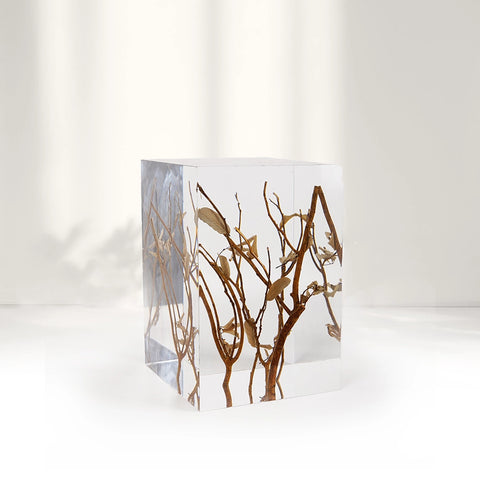 Branches Acrylic Stool Side Table