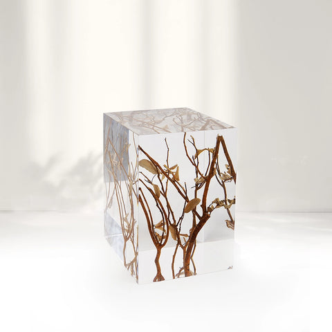 Branches Acrylic Stool Side Table