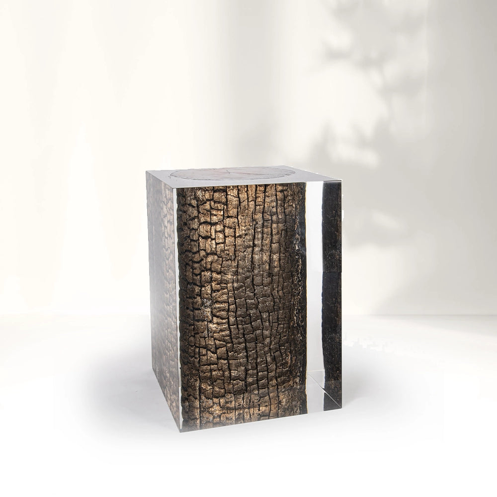 Bronze Burned Wood Stump Acrylic Stool Side Table