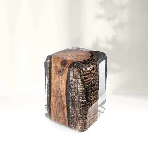 Bronze Burned Wood Stump Acrylic Stool Side Table