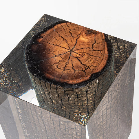 Bronze Burned Wood Stump Acrylic Stool Side Table