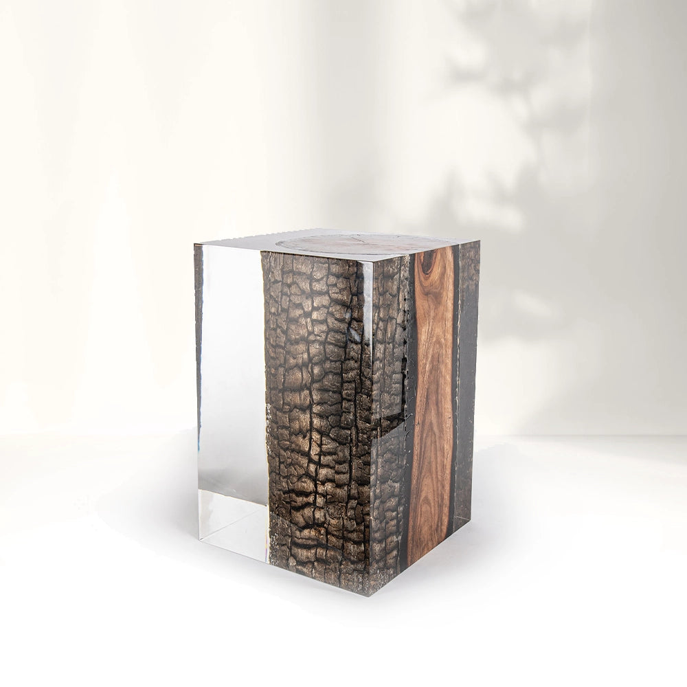 Bronze Burned Wood Stump Acrylic Stool Side Table