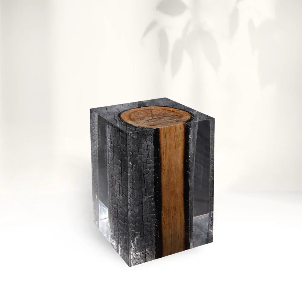 Burned Wood Stump Acrylic Stool Side Table - Cut