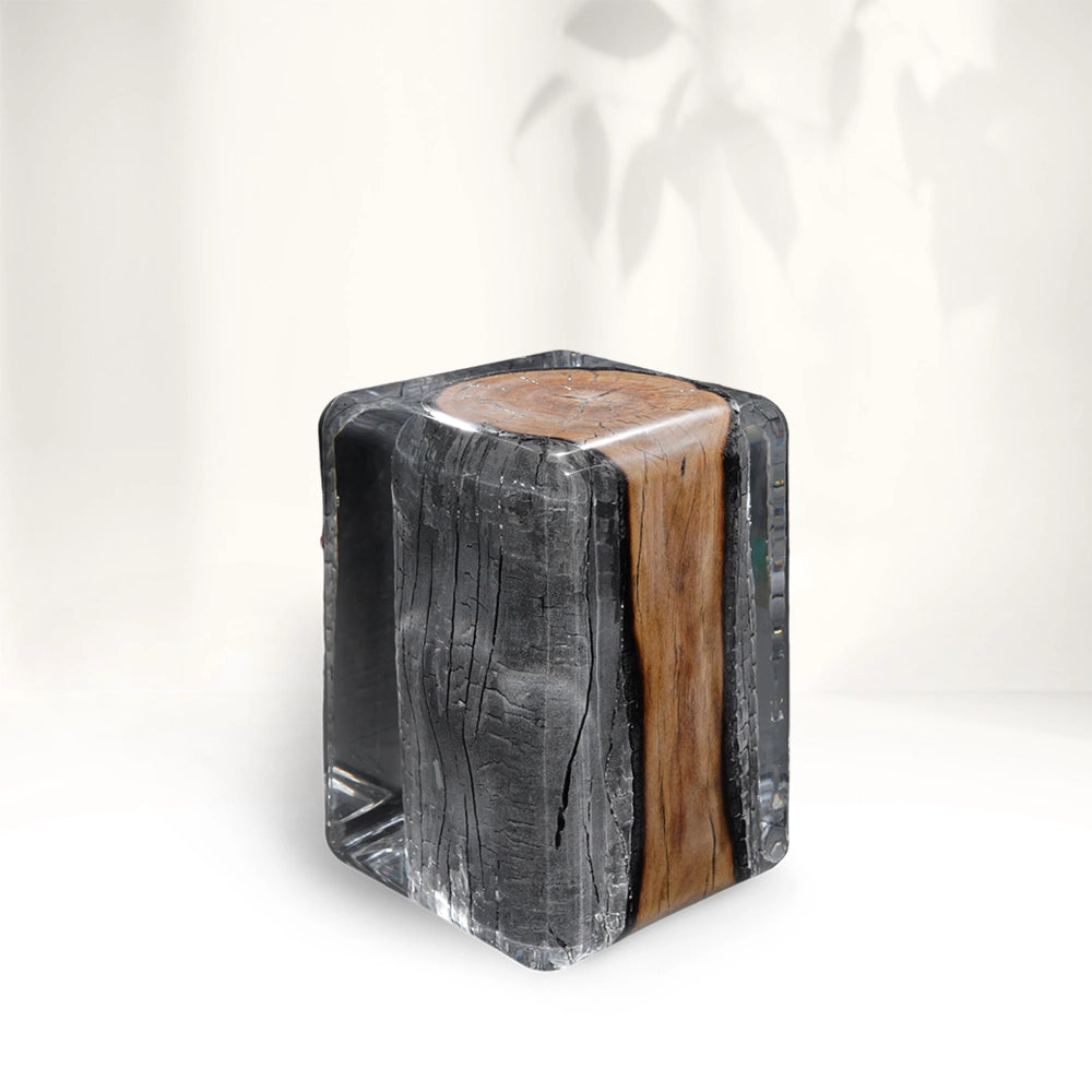 Burned Wood Stump Acrylic Stool Side Table - Cut