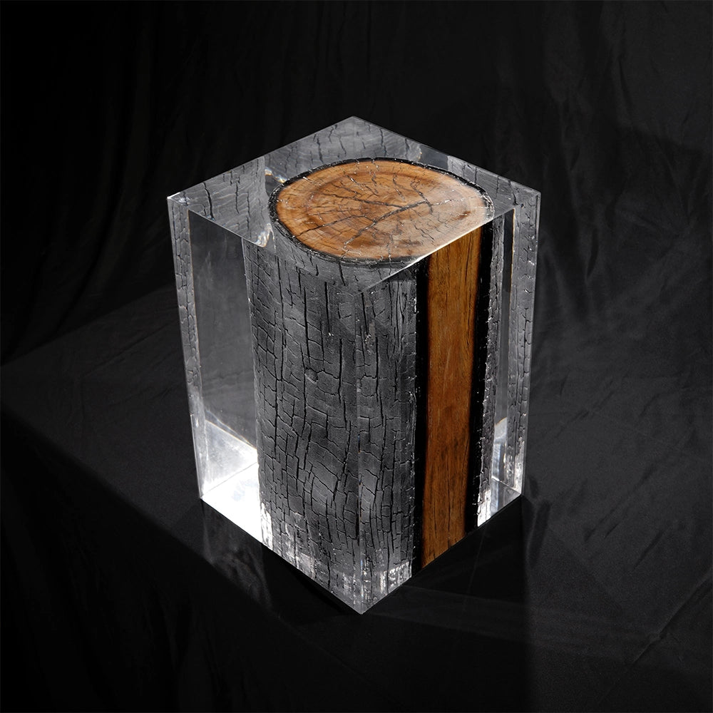 Burned Wood Stump Acrylic Stool Side Table - Cut