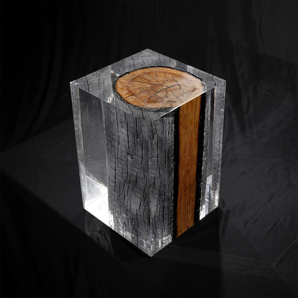Burned Wood Stump Acrylic Stool Side Table - Cut