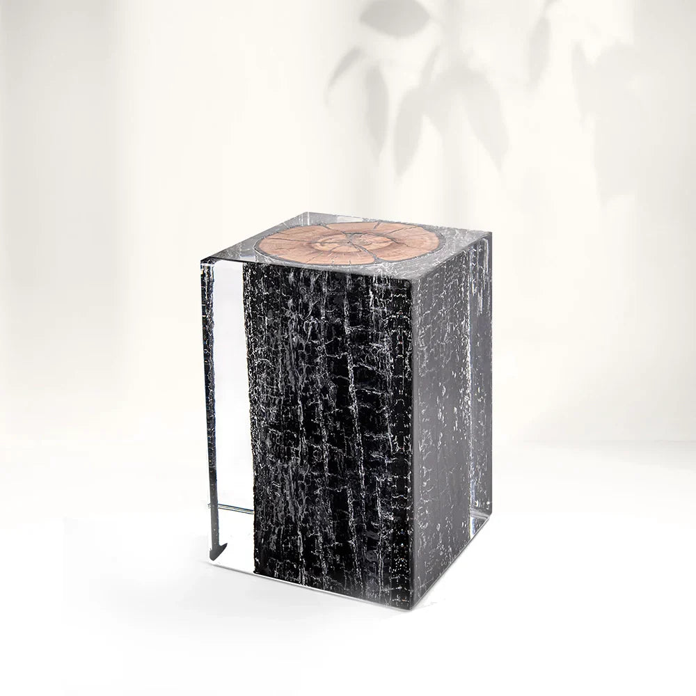 Burned Wood Stump Acrylic Stool Side Table