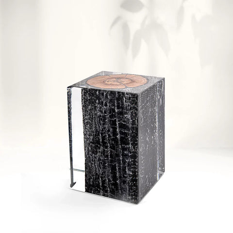 Burned Wood Stump Acrylic Stool Side Table