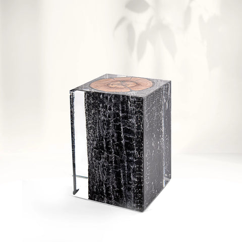 Burned Wood Stump Acrylic Stool Side Table