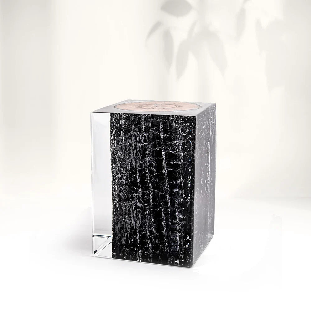 Burned Wood Stump Acrylic Stool Side Table