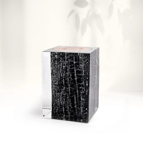 Burned Wood Stump Acrylic Stool Side Table