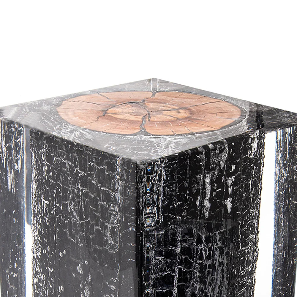 Burned Wood Stump Acrylic Stool Side Table