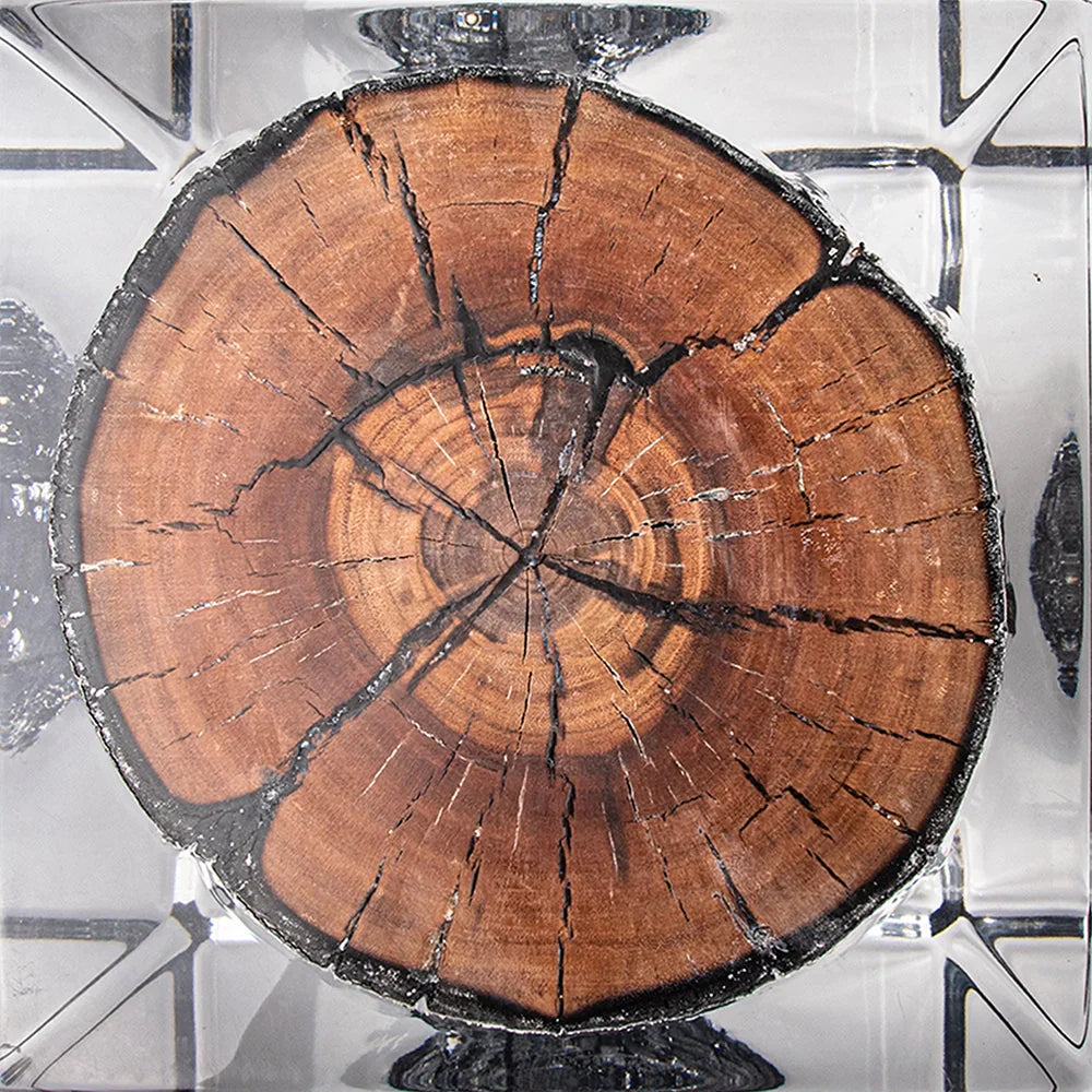 Burned Wood Stump Acrylic Stool Side Table