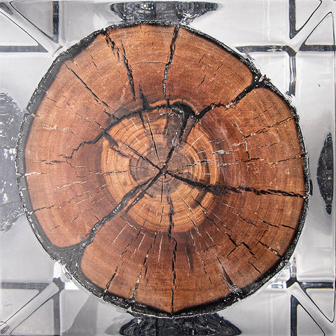 Burned Wood Stump Acrylic Stool Side Table
