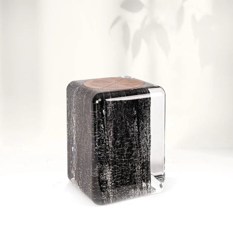 Burned Wood Stump Acrylic Stool Side Table
