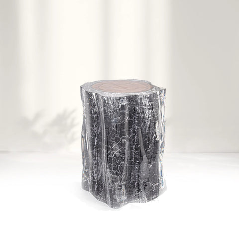 Carbonized Wood Stump Acrylic Stool & Side Table - Ripple