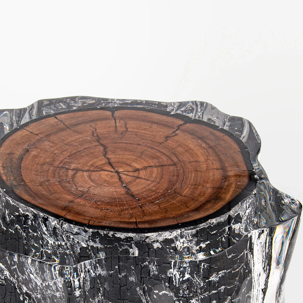 Carbonized Wood Stump Acrylic Stool & Side Table - Ripple